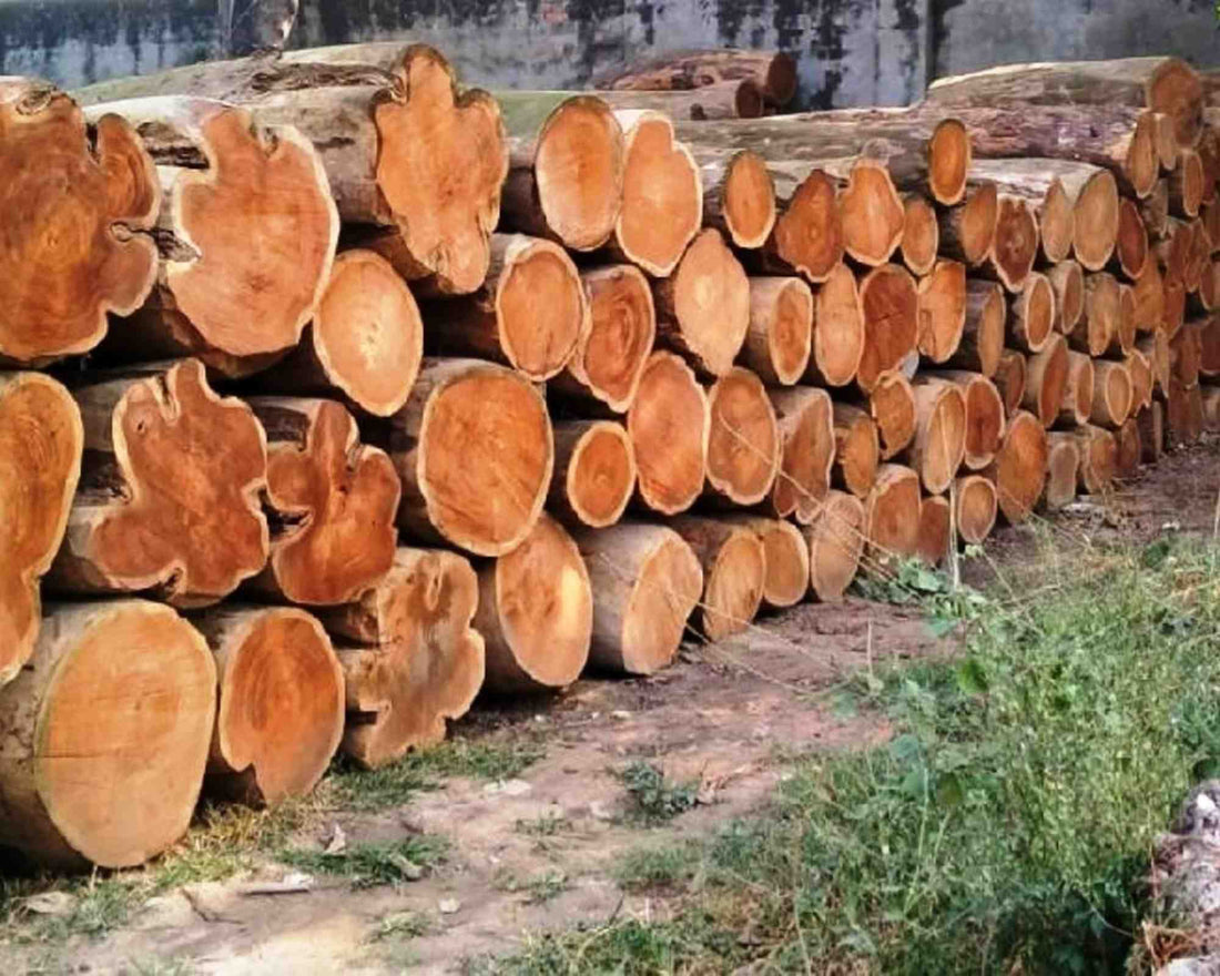 sheesham wood logs for furniture making: shekhawati crafts